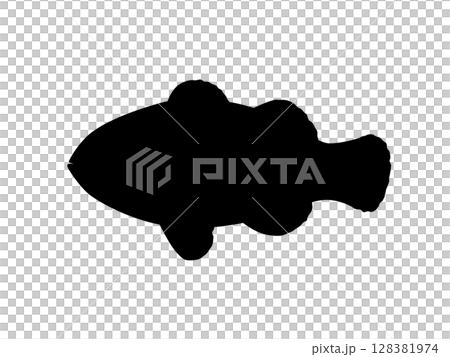 カクレクマノミのシルエット_ベクターイラスト 128381974