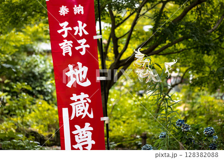 埼玉県所沢市　多聞院ヤマユリ 128382088