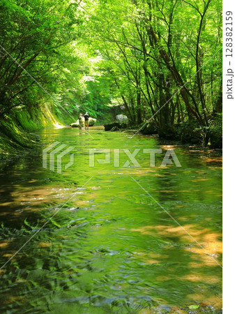 夏の岳切渓谷（沢歩き・宇佐市・縦構図） 128382159