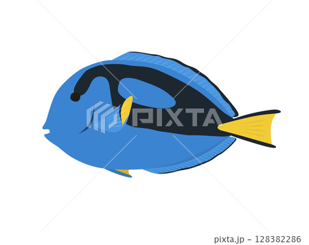 ナンヨウハギのベクターイラスト 128382286