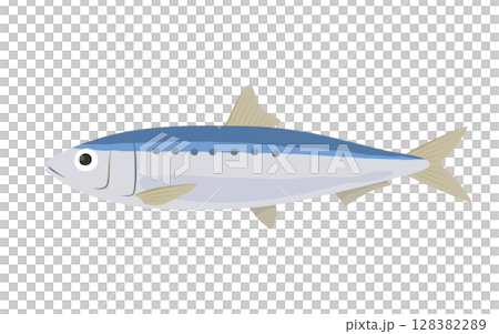 Vector illustration of squid Vector illustration of squid 128382289