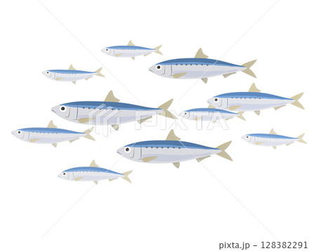 イワシの群れのベクターイラスト イワシの群れのベクターイラスト 128382291