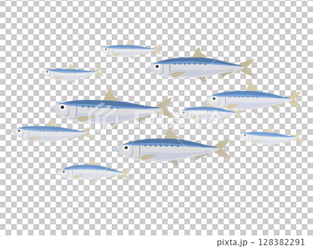 イワシの群れのベクターイラスト イワシの群れのベクターイラスト 128382291