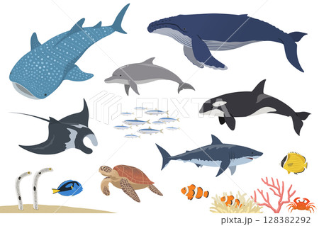 海の生き物セット_ベクターイラスト 128382292