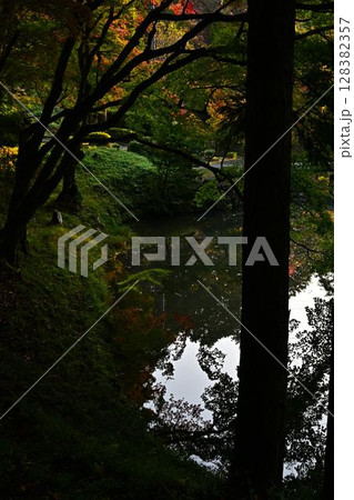 池に映る紅葉 池に映る紅葉 128382357