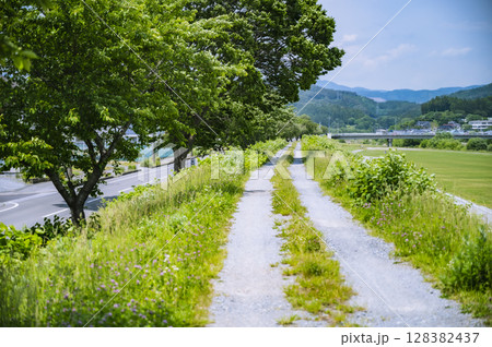 初夏の田舎道と緑の木陰の風景 128382437