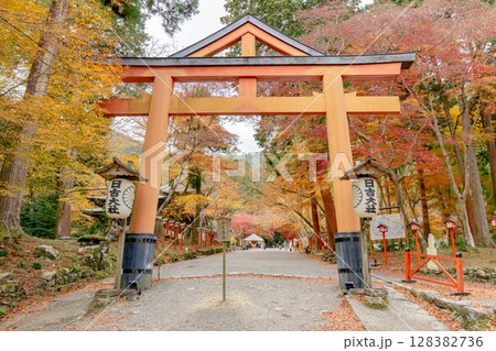滋賀県大津市坂本の日吉大社 山王鳥居と紅葉 滋賀県大津市坂本の日吉大社 山王鳥居と紅葉 128382736