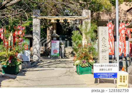 大阪府吹田市垂水町の垂水神社(垂水姓の発祥地) 境内参道 大阪府吹田市垂水町の垂水神社(垂水姓の発祥地) 境内参道 128382750