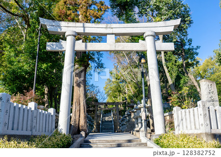 兵庫県宝塚市伊孑志の伊和志津神社 鳥居と表参道 兵庫県宝塚市伊孑志の伊和志津神社 鳥居と表参道 128382752