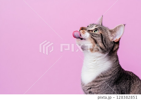 Cat Banner. Happy Feline Looking Left. Surprised Adorable Gray Cat with Silly Face on Color Studio Background. Poster Placard Design Horizontal. Copy Space for Text, Logo. For Ad Promo. Goods For Pets 128382851