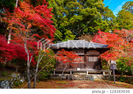 紅葉したモミジ　神護寺　明王堂 128383030