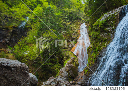【長野県名勝】三本滝【乗鞍高原】 128383106