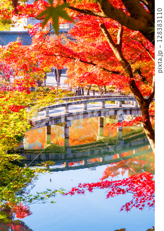 紅葉の永観堂　京都 128383110