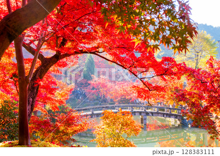 紅葉の永観堂　京都 128383111