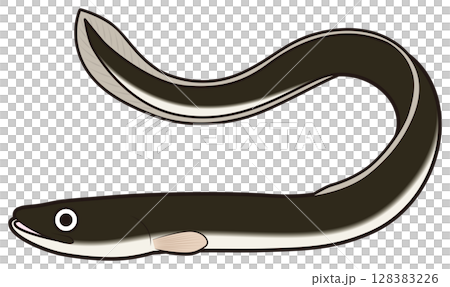 eel 128383226