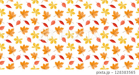 Autumn leaves pattern with red and yellow leaves on white background 128383565