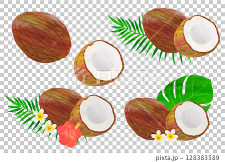 ココナッツのイラスト素材セット 128383589