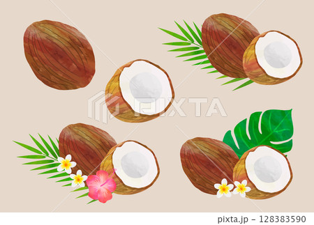 ココナッツのイラスト素材セット（ベクター版） 128383590