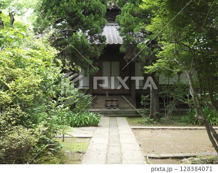 妙福寺の静寂に包まれた祖師堂、歴史を刻む参道の先に(横) 妙福寺の静寂に包まれた祖師堂、歴史を刻む参道の先に(横) 128384071