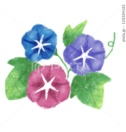 朝顔のイラスト クレヨンタッチ 手描き 128384182
