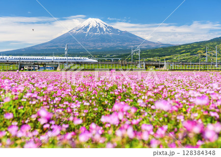 Shinkansen JR Bullet train pass through Mt. Fuji, Shizuoka, Japan 128384348
