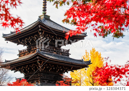 Shinnyodo Temple pagoda with red maple and yellow ginkgo in fall, Kyoto Shinnyodo Temple pagoda with red maple and yellow ginkgo in fall, Kyoto 128384371