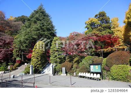 貫井神社 128384664