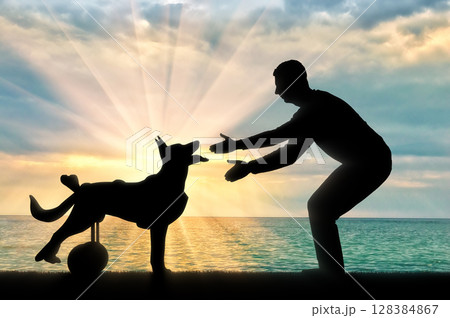 Concept of a dog in a wheelchair 128384867