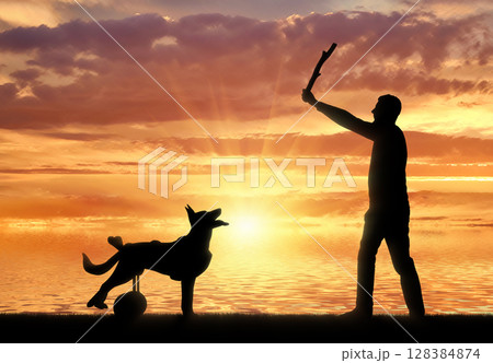 Concept of normal life in dogs in a wheelchair Concept of normal life in dogs in a wheelchair 128384874