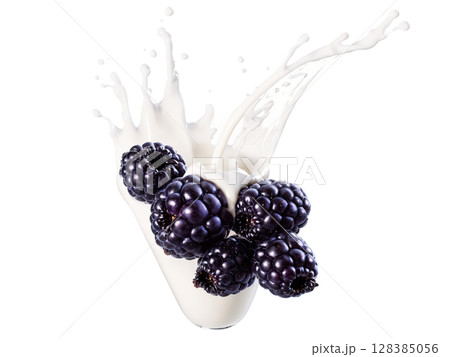 Blackberry Blackberries tumbling into milk with dark purple juice splashing out, creating a bold contrast with the milk splash. 128385056