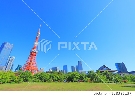 東京都港区、東京タワーと新緑の風景 128385137