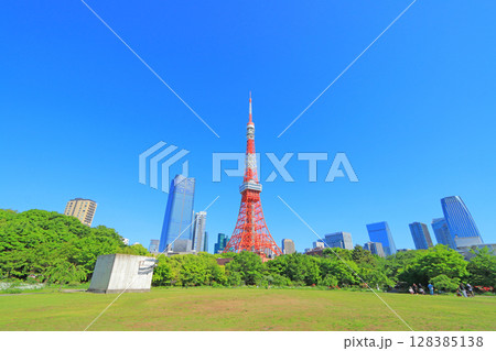 東京都港区、東京タワーと新緑の風景 東京都港区、東京タワーと新緑の風景 128385138