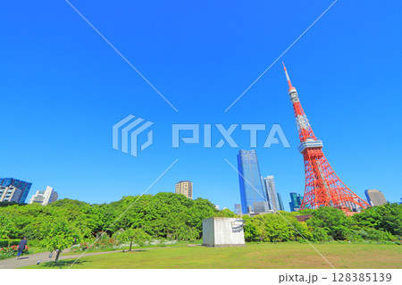 東京都港区、東京タワーと新緑の風景 東京都港区、東京タワーと新緑の風景 128385139
