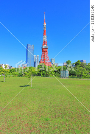 東京都港区、東京タワーと新緑の風景 128385140