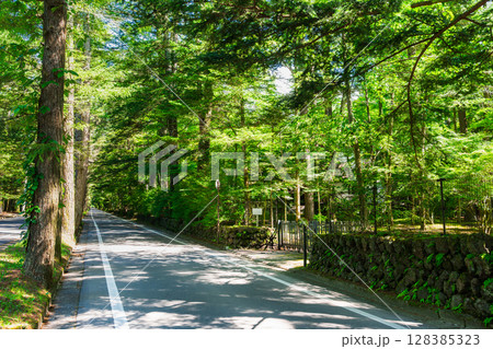 夏の軽井沢　閑静な別荘地 128385323