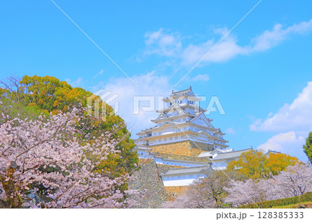 兵庫県姫路市、満開の桜と姫路城の風景 兵庫県姫路市、満開の桜と姫路城の風景 128385333