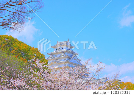 兵庫県姫路市、満開の桜と姫路城の風景 128385335