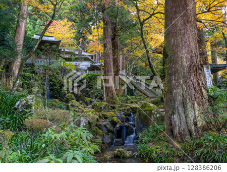 紅葉の美しい季節の曹洞宗大雄山最乗寺のパワースポットのひとつ清心の滝と不動堂 128386206