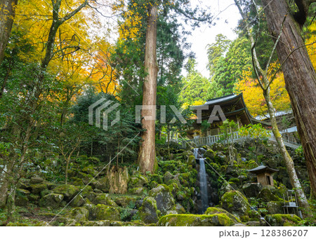紅葉の美しい季節の曹洞宗大雄山最乗寺のパワースポットのひとつ清心の滝と不動堂 紅葉の美しい季節の曹洞宗大雄山最乗寺のパワースポットのひとつ清心の滝と不動堂 128386207