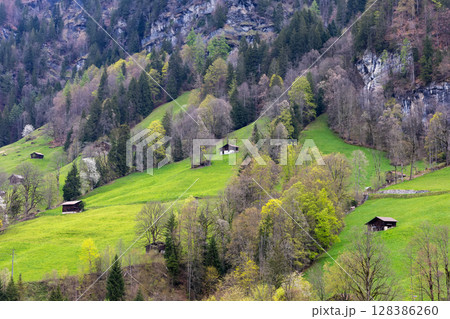 Grindelwald mountain village, Bernese Oberland, Switzerland. 128386260