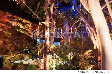 2025 大阪・関西万博　オーストラリアパビリオン展示 128387264