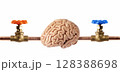 Conceptual Image of Brainwashing and Mental Control 128388698