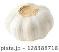 One head of garlic isolated on white 128388718