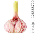 Single head of raw garlic isolated on white 128388720