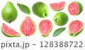 Collection of green guava fruits with pink flesh isolated on white background 128388722