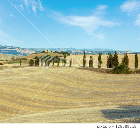 Tuscany sunrise countryside, Italy Tuscany sunrise countryside, Italy 128389319