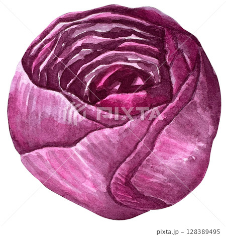 Beautiful watercolor flower peony for your design and floral pattern for wallpaper or fabric Beautiful watercolor flower peony for your design and floral pattern for wallpaper or fabric 128389495