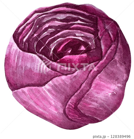 Beautiful watercolor flower peony for your design and floral pattern for wallpaper or fabric 128389496