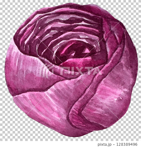 Beautiful watercolor flower peony for your design and floral pattern for wallpaper or fabric 128389496