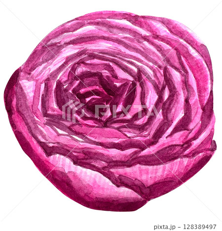 Beautiful watercolor flower peony for your design and floral pattern for wallpaper or fabric 128389497